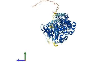 Protein Structure (PS) image for EH-Domain Containing 4 (EHD4) (AA 1-541) protein (His tag) (ABIN7547320)