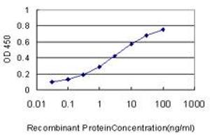 Detection limit for recombinant GST tagged HOXC13 is approximately 0. (HOXC13 antibody  (AA 132-231))