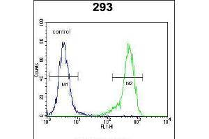 Flow cytometric analysis of 293 cells (right histogram) compared to a negative control cell (left histogram). (NDNF antibody  (N-Term))