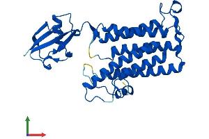 AlphaFold protein structure predicition of Human Recombinant TECR Protein, UniprotID Q9NZ01