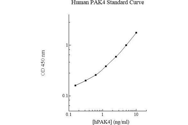 PAK4 ELISA Kit