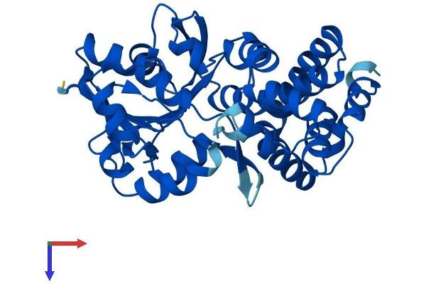 GPD1 Protein (AA 1-349) (His tag)