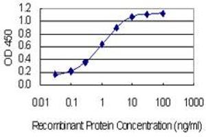 Detection limit for recombinant GST tagged MAP4K1 is 0. (MAP4K1 antibody  (AA 278-377))