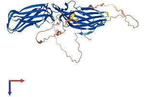 Arrestin Domain Containing 1 (ARRDC1) (AA 1-433) protein (His tag)