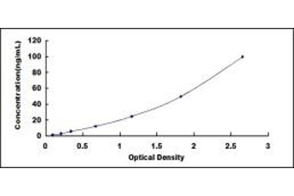 LBP ELISA Kit