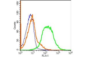 Lovo cells probed with Glypican 6 Polyclonal Antibody, ALEXA FLUOR® 647 Conjugated (bs-2177R-A647) at 1:100 for 30 minutes compared to control cells (blue)and isotype control (orange).