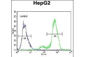SUV4-20H1 Antibody (C-term)  flow cytometric analysis of HepG2 cells (right histogram) compared to a negative control cell (left histogram). (SUV420H1 antibody  (C-Term))