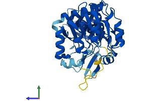 AlphaFold protein structure predicition of Human Recombinant CRYZL1 Protein, UniprotID O95825 (CRYZL1 Protein (AA 1-349) (His tag))