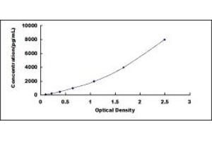 Typical standard curve (SFRP5 ELISA Kit)