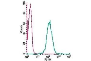 Cell surface detection of ATP1B3 in live intact human THP-1 monocytic leukemia cells: (black line) Cells. (ATP1B3 antibody  (C-Term, Extracellular))