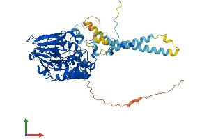 Protein Structure (PS) image for Protein Phosphatase 3, Catalytic Subunit, gamma Isozyme (PPP3CC) (AA 1-513) protein (His tag) (ABIN7563317)