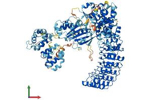 AlphaFold protein structure predicition of Human Recombinant NOD2 Protein, UniprotID Q9HC29