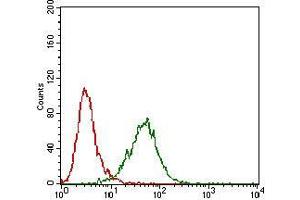 Flow Cytometry (FACS) image for anti-Membrane Metallo-Endopeptidase-Like 1 (MMEL1) (AA 1-107) antibody (ABIN5542662)