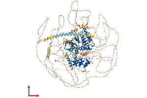 Protein Structure (PS) image for Testis Expressed 14 (TEX14) (AA 1-1450) protein (His tag) (ABIN7564183)