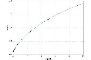 A typical standard curve