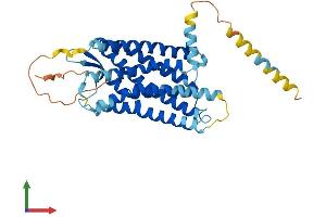 Protein Structure (PS) image for Somatostatin Receptor 2 (SSTR2) (AA 1-369) protein (His tag) (ABIN7555615)
