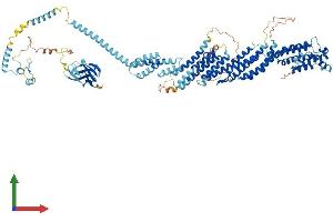 AlphaFold protein structure predicition of Human Recombinant EXOC2 Protein, UniprotID Q96KP1 (EXOC2 Protein (AA 1-924) (His tag))