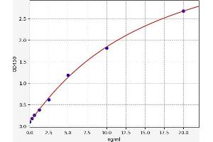 SOCS1 ELISA Kit