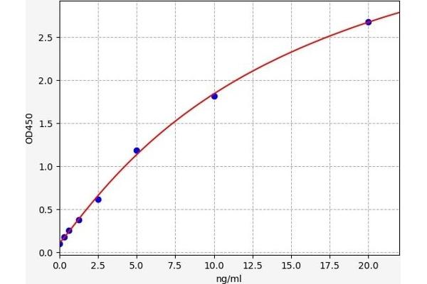 SOCS1 ELISA Kit