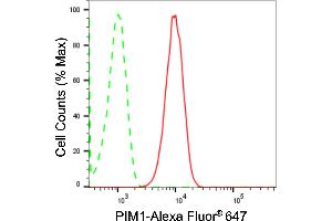 Flow cytometric analysis of PIM1 expression in HT- cells using PIM1 antibody (ABIN7799837), 1:2,000). (Recombinant PIM1 antibody)