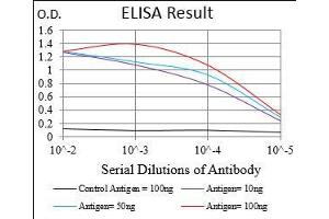 ELISA image for anti-BCL2-Associated Agonist of Cell Death (BAD) (AA 1-168) antibody (ABIN5542486)
