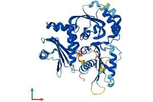 AlphaFold protein structure predicition of Human Recombinant FUZ Protein, UniprotID Q9BT04 (FUZ Protein (AA 1-418) (His tag))