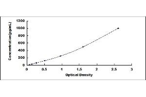 S100A6 ELISA Kit