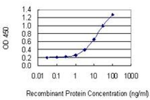 Detection limit for recombinant GST tagged FAM65B is 0. (FAM65B antibody  (AA 1-591))