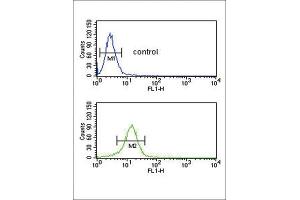 Flow Cytometry (FACS) image for anti-Collagen, Type V, alpha 2 (COL5A2) antibody (ABIN3003163) (COL5A2 antibody)