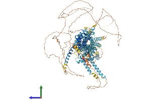 AlphaFold protein structure predicition of Human Recombinant SREBF2 Protein, UniprotID Q12772
