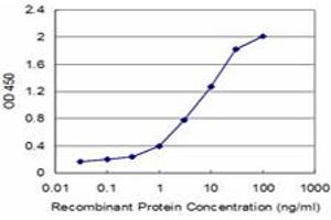 Detection limit for recombinant GST tagged CKMT1B is approximately 0. (CKMT1B antibody  (AA 327-417))
