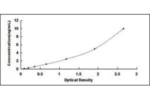 Typical standard curve (IBA57 ELISA Kit)