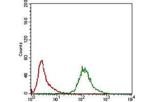 Fig. (KHDRBS2 antibody  (AA 160-349))