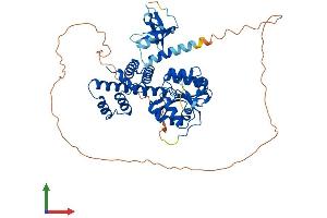 AlphaFold protein structure predicition of Mouse Recombinant Glyr1 Protein, UniprotID Q922P9 (GLYR1 Protein (AA 1-546) (His tag))
