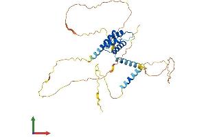 AlphaFold protein structure predicition of Human Recombinant MKX Protein, UniprotID Q8IYA7 (MKX Protein (AA 1-352) (His tag))