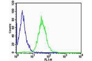 Flow cytometric analysis of Raji cells using CD74 antibody (green) and an isotype control of mouse IgG2b (blue)