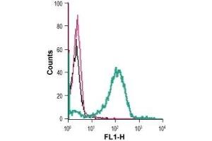 Cell surface detection of FFAR2 in live intact human THP-1 monocytic leukemia cells: (black line) Cells. (FFAR2 antibody  (Extracellular))
