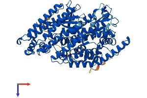 Thimet Oligopeptidase 1 Protein (THOP1) (AA 1-689) (His tag)