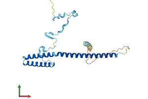 Protein Structure (PS) image for Mediator Complex Subunit 7 (MED7) (AA 1-233) protein (His tag) (ABIN7560780)