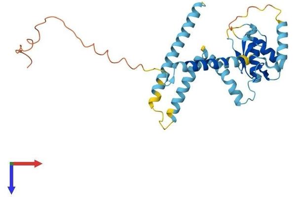 RNF170 Protein (AA 1-286) (His tag)