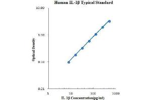 ELISA image for Interleukin 1, beta (IL1B) ELISA Kit (ABIN2472076)
