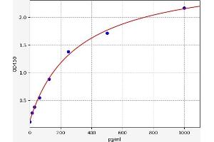 FOXO3 ELISA Kit