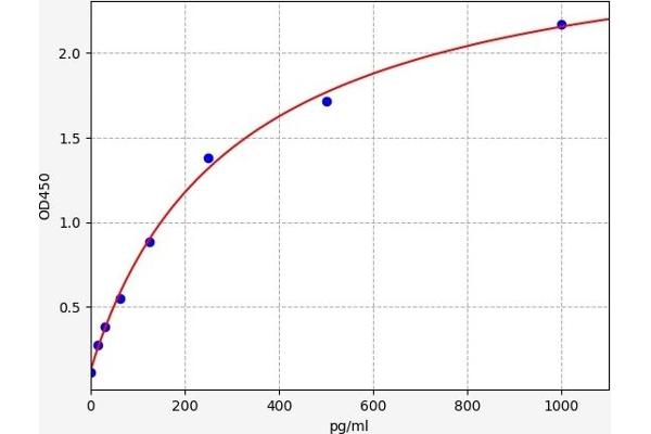 FOXO3 ELISA Kit