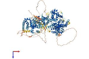 TBC1 Domain Family, Member 9B (With GRAM Domain) (TBC1D9B) (AA 1-1250) protein (His tag)