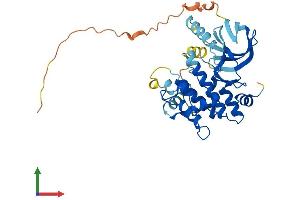 AlphaFold protein structure predicition of Human Recombinant MAP2K3 Protein, UniprotID P46734