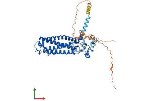AlphaFold protein structure predicition of Human Recombinant ZDHHC11B Protein, UniprotID P0C7U3 (ZDHHC11B Protein (AA 1-371) (His tag))
