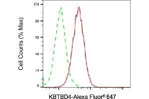 Flow cytometric analysis of KBTBD4 expression in HAP-1 cells using KBTBD4 antibody (ABIN7799160), 1:2,000). (KBTBD4 antibody)