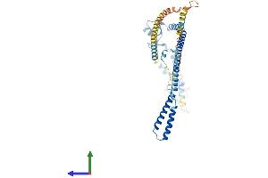 AlphaFold protein structure predicition of Human Recombinant TRIM13 Protein, UniprotID O60858 (TRIM13 Protein (AA 1-407) (His tag))