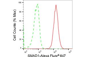 Flow cytometric analysis of SMAD1 expression in HAP-1 cells using SMAD1 antibody (ABIN7800366), 1:2,000). (Recombinant SMAD1 antibody)