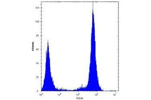 TLR4 antibody flow cytometric analysis of U251 cells (right histogram) compared to a negative control (left histogram). (TLR4 antibody  (AA 669-698))